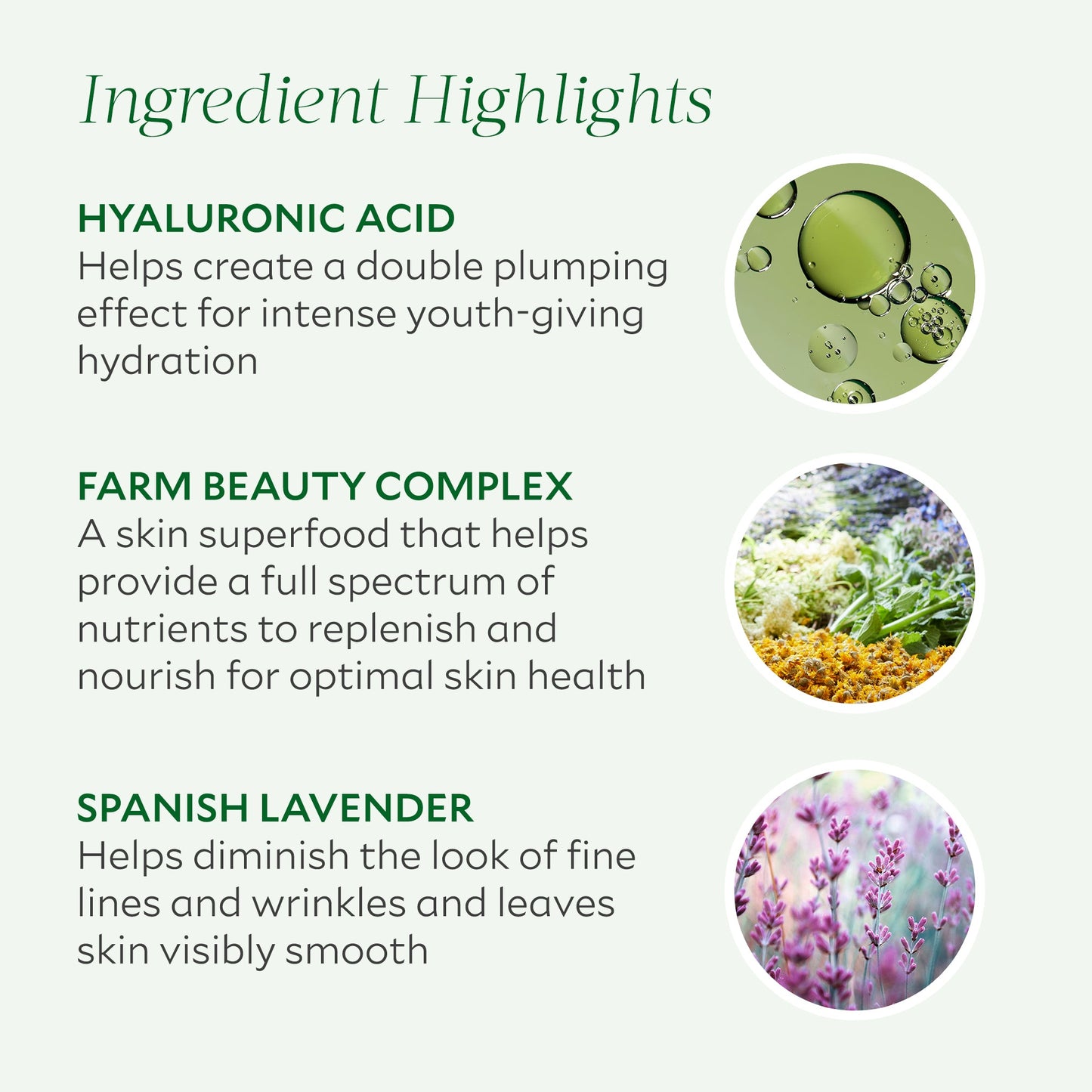 Repairative Moisturizer