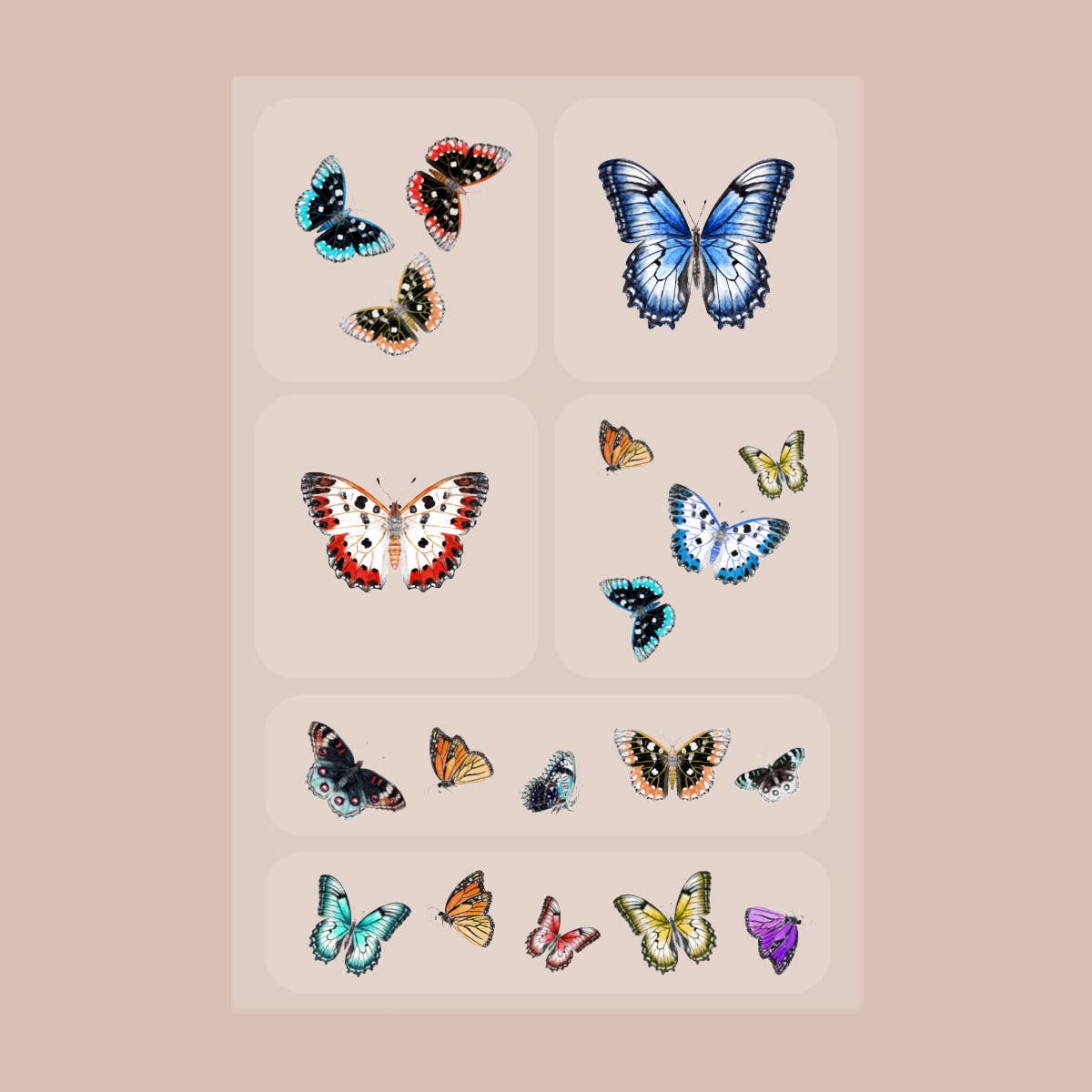 Brains & Beauty Vitamin Patch 6pk  - Butterflies Print