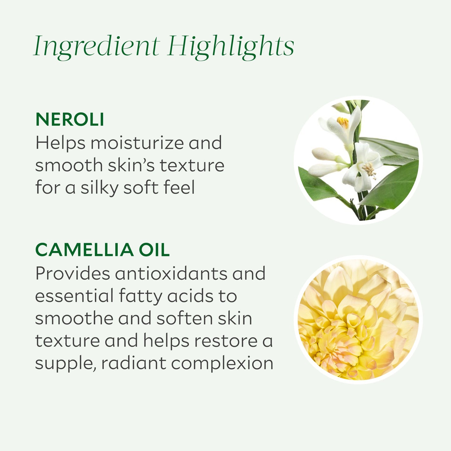 Everyday Revive Body Oil