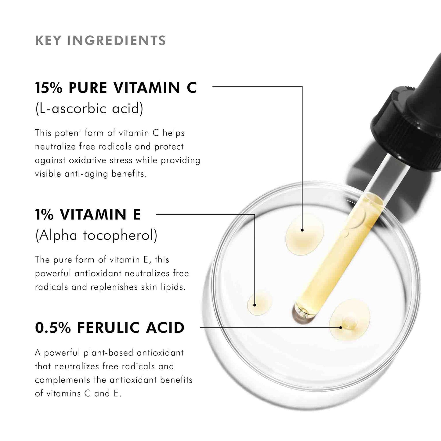 Daily C E Ferulic Antioxidant Serum
